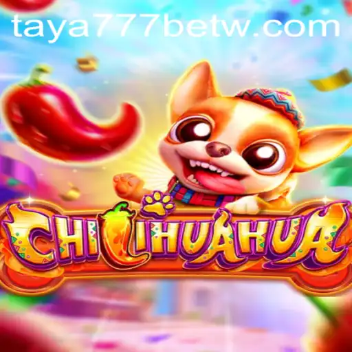 Exploring the Exciting World of CHILIHUAHUA and Taya777 Bet