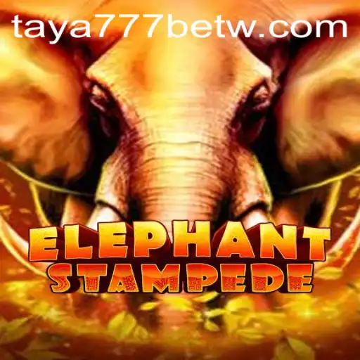 Exploring the Excitement of ElephantStampede and the Impact of taya777 bet