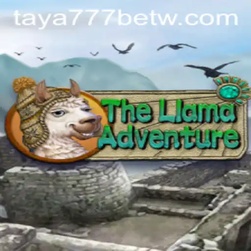 TheLlamaAdventure: A Thrilling Journey with Taya777 Bet